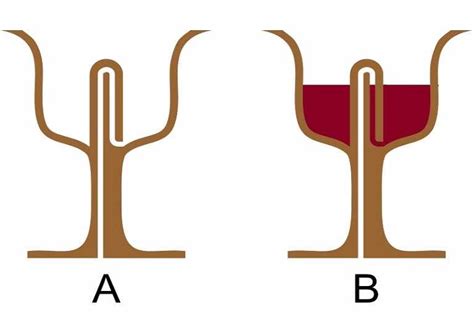 This Pythagorean Cup Is The Best Cup For Greedy People