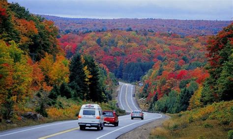 Newsroom : Take a Trip this Fall and See Ontario's Fall Colours