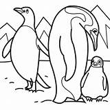 Penguins coloring pages To Download And Print For Free sketch template