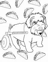 Dog With Foods coloring Page  Download Print Or Color Online For Free sketch template