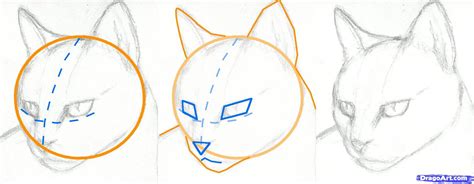 How To Draw A Cat Face Step By Step ~ How To Draw A Cat: Easy Step By ...