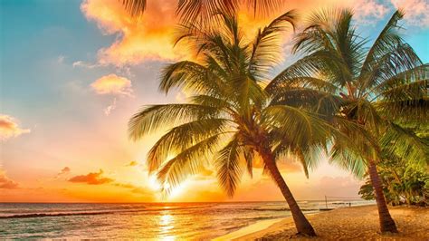 Tropical Sunset Palms Paradise Beach Sea Hd Wallpapers - Good Morning Nature Scene (#524521 ...