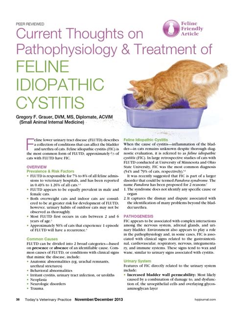 Thoughts on Feline Idiopathic Cystitis | Urinary Tract Infection | Clinical Medicine