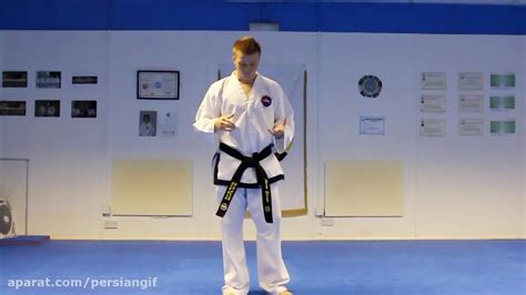 Taekwondo Side Kick Tutorial | GNT