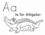 Free Printable Alligator Coloring Pages For Kids sketch template