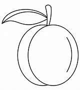 Peach Fruit Coloring Page Pages sketch template