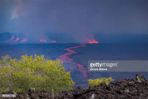 1,414 Isabela Island Stock Photos, High-Res Pictures, and Images ...