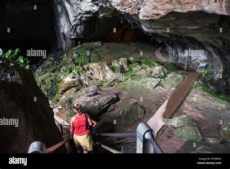 Beautiful caves at Gunung Mulu National Park in Sarawak Stock Photo - Alamy