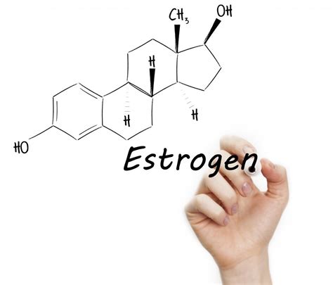 Increased Estrogen Levels in Men: Causes and Solutions
