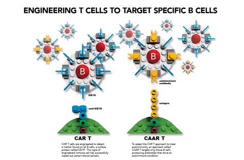 The Immunotherapy Revolution for Autoimmune Diseases