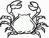 Free Printable Crab Coloring Pages For Kids sketch template