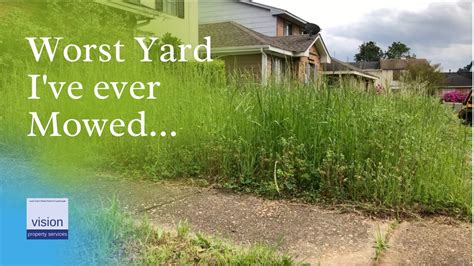 Before and After: Tall Grass & Mowing Overgrown Lawn - Wright Stander B ...