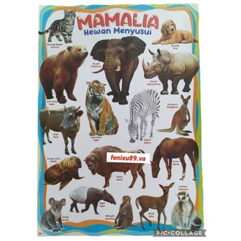 Jual Poster Mamalia Hewan | Shopee Indonesia