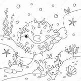 Funny Puffer Fish Cartoon Style Coloring Book Stock Vector  sketch template