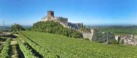 Veneto Wine Region Guide » Italian Wine Reions » CellarTours