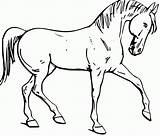 Free Printable Horse Coloring Pages Sketch Page sketch template