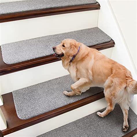 Top 10 Best Stair Treads For Dogs in 2022 Reviews & Buying Guide