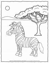 Free Zebra Head Coloring Pages sketch template