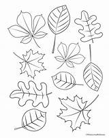 Printable Leaves To Color sketch template