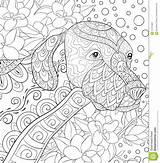 Cool Relaxing Coloring Pages sketch template