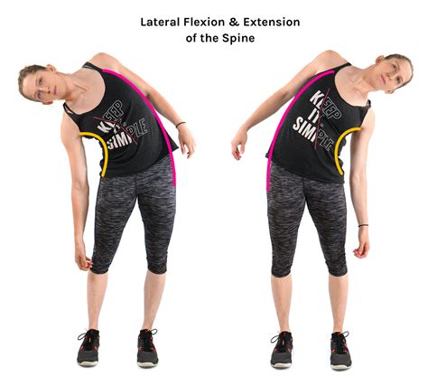 Flexion & Extension: In Detail - Tom Morrison