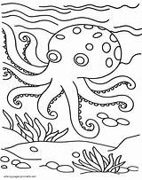 Sea animals coloring Pictures Octopus  COLORING PAGES PRINTABLECOM sketch template