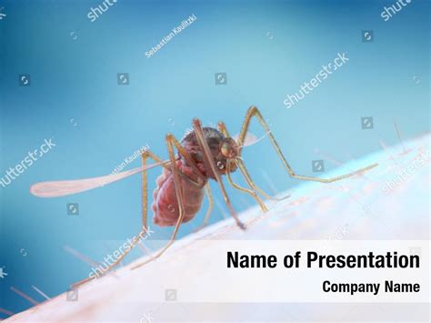 Medical malaria concept medicine PowerPoint Template - Medical malaria concept medicine ...