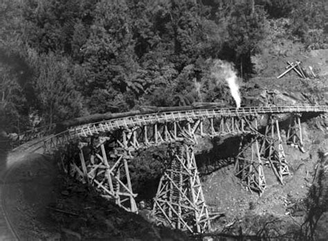 Wooden trestle viaduct – Bush trams and other log transport – Te Ara Encyclopedia of New Zealand