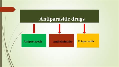 SOLUTION: Mechanism of action of antiparasitic drugs - Studypool