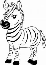 Premium Vector  Zebra Illustration Black And White Outline sketch template
