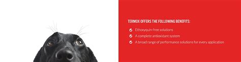 TERMOX® Antioxidants for Pet Food Stability | Kemin EMENA