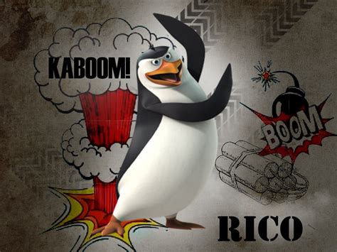 Rico - Penguins of Madagascar Wallpaper (27270151) - Fanpop