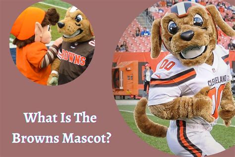 What Is The Browns Mascot? Know About Cleveland’s Brownie The Elf