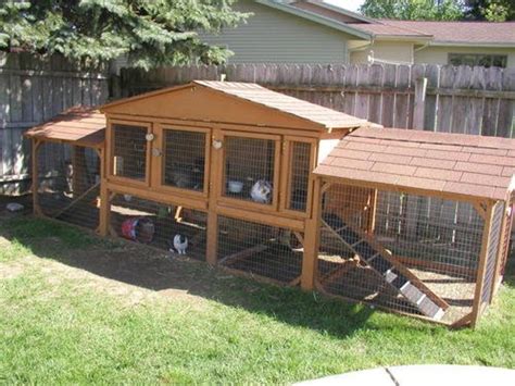 How to Build the Perfect Bunny Hutch - PetHelpful