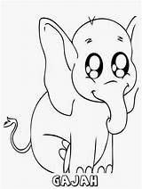 mewarnai Gambar Anak Gajah Lucu  Gbr Hewan Utk Diprinted Chicken sketch template