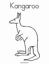 Kangaroo Coloring Page sketch template