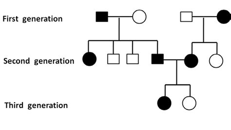 genetics - How to recognise the type of allele by pedigree analysis diagrams? - Biology Stack ...