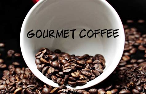 Gourmet Coffee: Your Complete Guide To Taste, Selection & Recipes