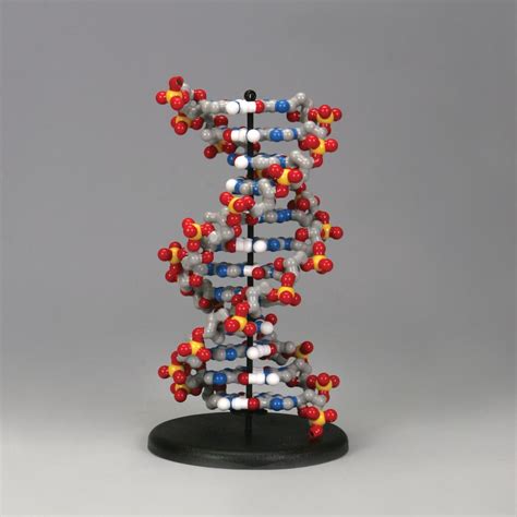 DNA Discovery Kit© | Carolina.com