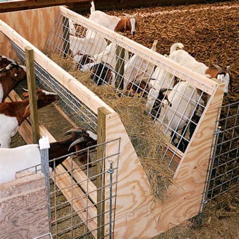 24" Wire Panel – DIY Feeders for Large Sheep & Rams | Livestock barn, Goat barn, Goat house