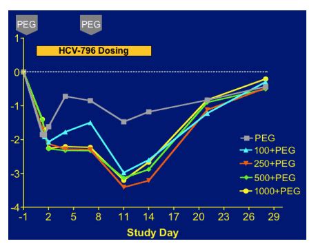 HCV-796 Polymerase Inhibitor Shows 1.5 log Viral Load Reduction