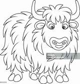 Yak Clipart Outline sketch template