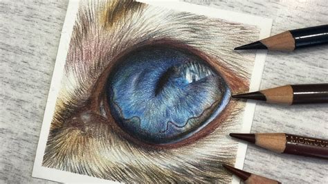 Learn To Draw a Cat's Eye in Colored Pencil | REAL TIME TUTORIAL - YouTube