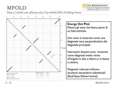 PPT - Bioinformatica Predizione della struttura secondaria dell’RNA – MFOLD PowerPoint ...