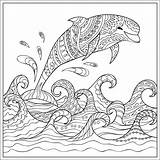 Free DOLPHIN Coloring Pages For Download Printable PDF sketch template