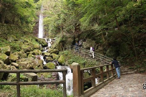 Yoro Falls - A Fountain of Youth Waterfall near Nagoya