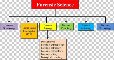 Forensic Toxicology, Science Signs, Forensic Accounting, Biological Chemistry, Computer ...