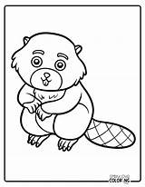 Beaver Coloring Pages Free PDF Printables  Simply Love sketch template