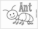 Bugs Coloring Pages Preschool sketch template