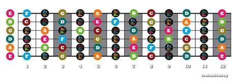 Guitar Fretboard Map | After the enormous popularity of my b… | Flickr